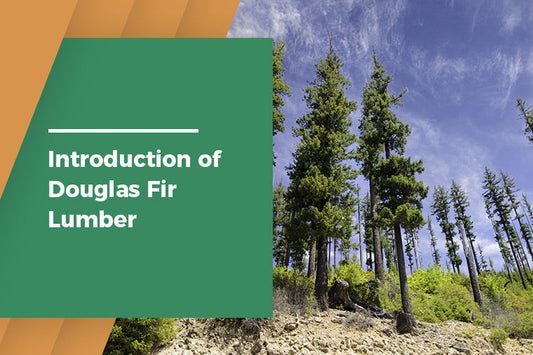 Introduction to Douglas Fir Lumber — Properties and Uses